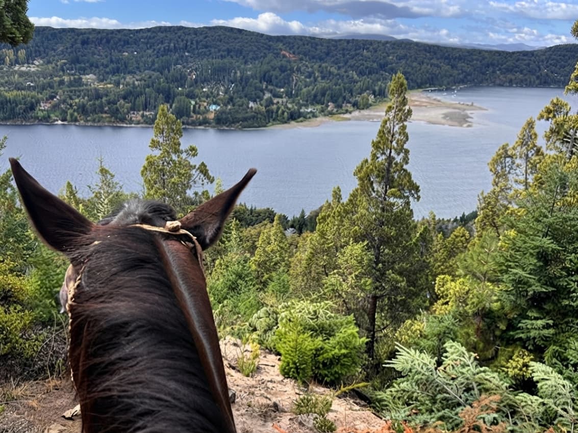 Cabalgata Wesley